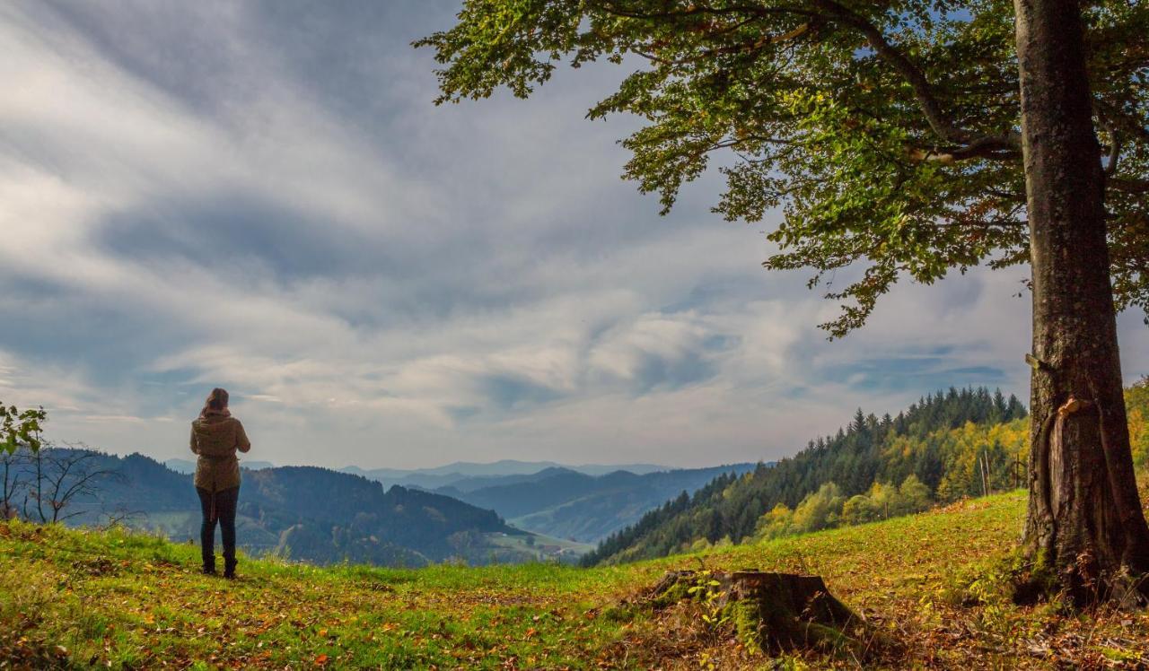 Ferienwohnung Mit Komfort Oberharmersbach Exteriér fotografie