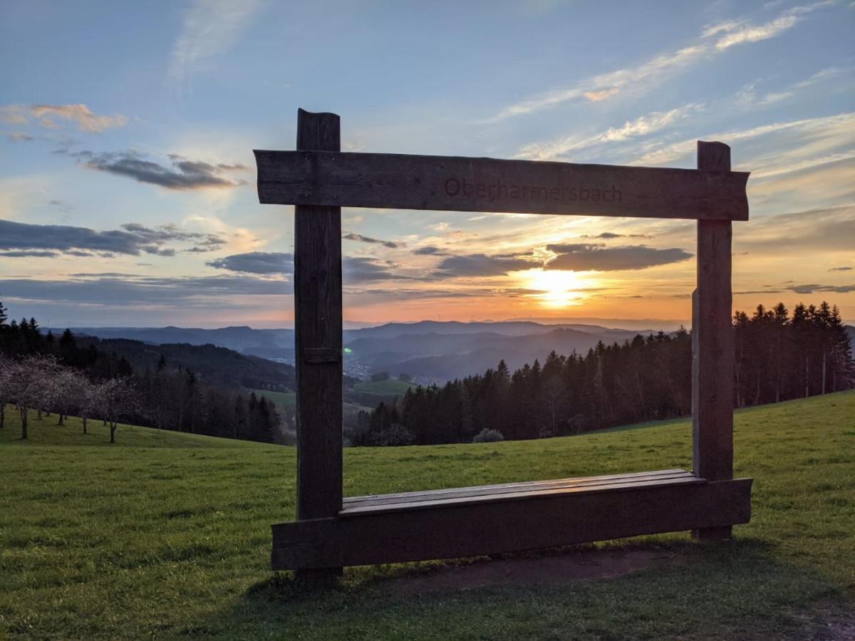 Ferienwohnung Mit Komfort Oberharmersbach Exteriér fotografie