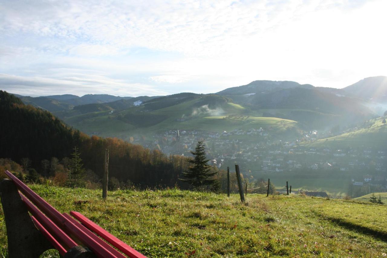 Ferienwohnung Mit Komfort Oberharmersbach Exteriér fotografie