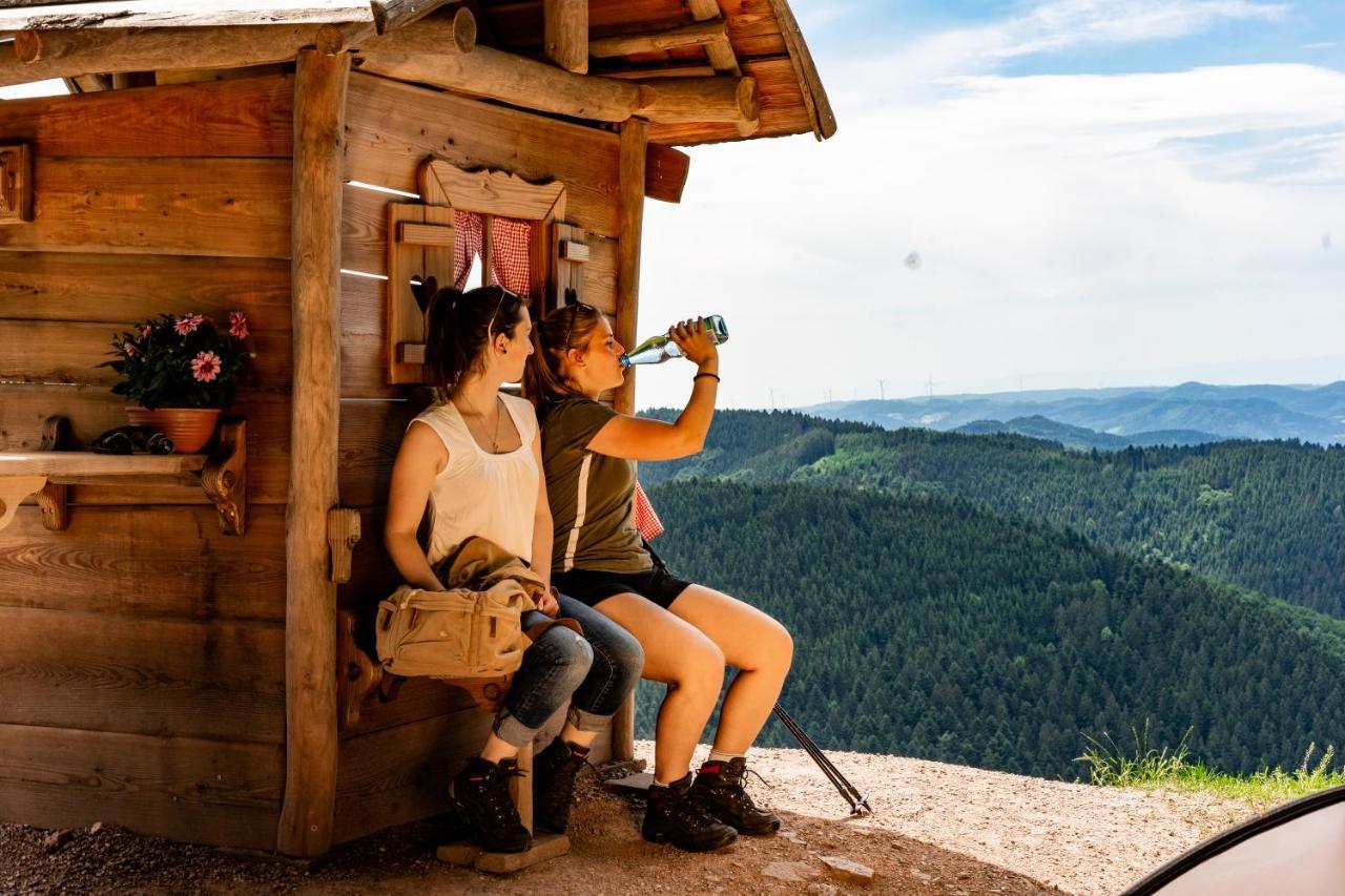 Ferienwohnung Mit Komfort Oberharmersbach Exteriér fotografie