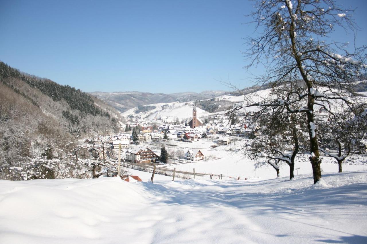 Ferienwohnung Mit Komfort Oberharmersbach Exteriér fotografie