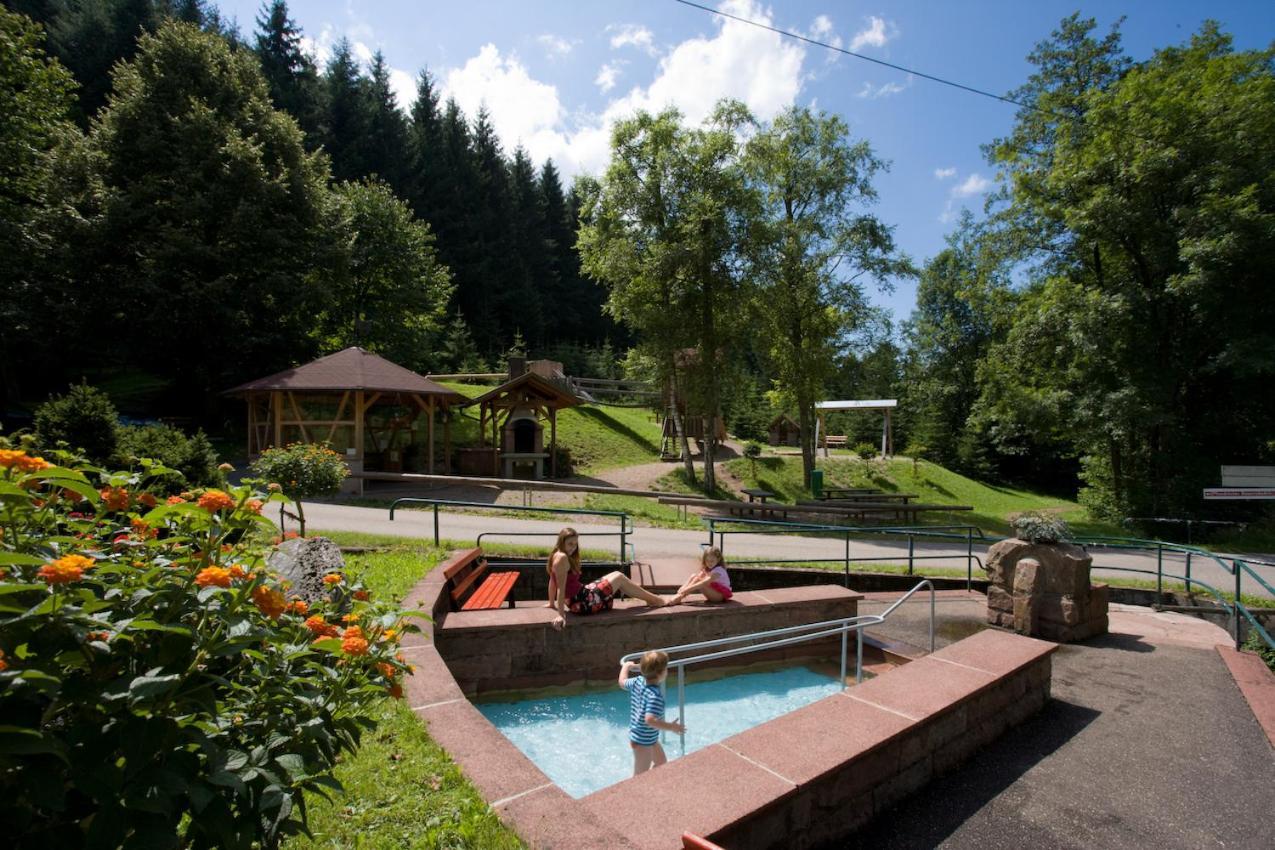 Ferienwohnung Mit Komfort Oberharmersbach Exteriér fotografie