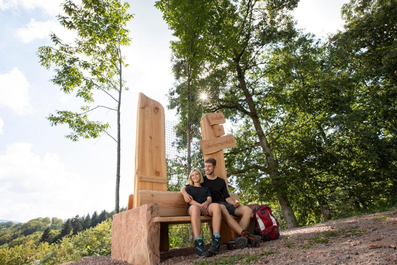 Ferienwohnung Mit Komfort Oberharmersbach Exteriér fotografie