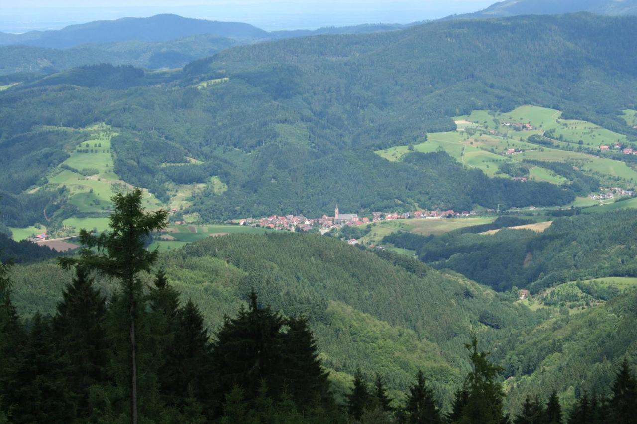 Ferienwohnung Mit Komfort Oberharmersbach Exteriér fotografie