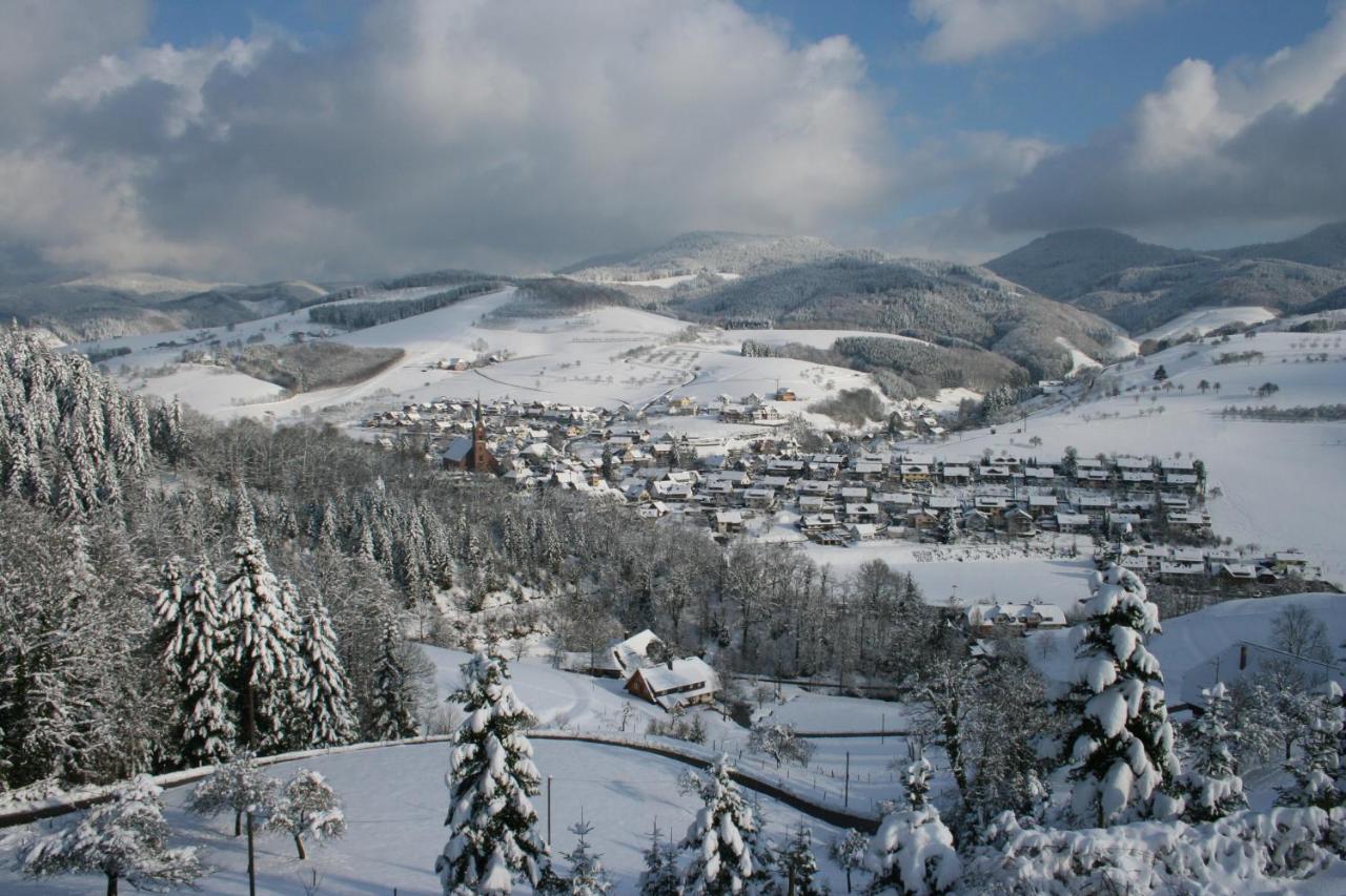 Ferienwohnung Mit Komfort Oberharmersbach Exteriér fotografie