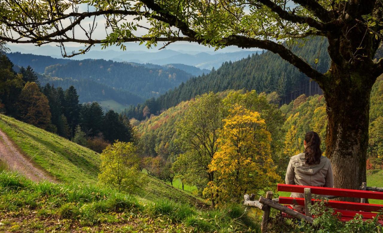 Ferienwohnung Mit Komfort Oberharmersbach Exteriér fotografie