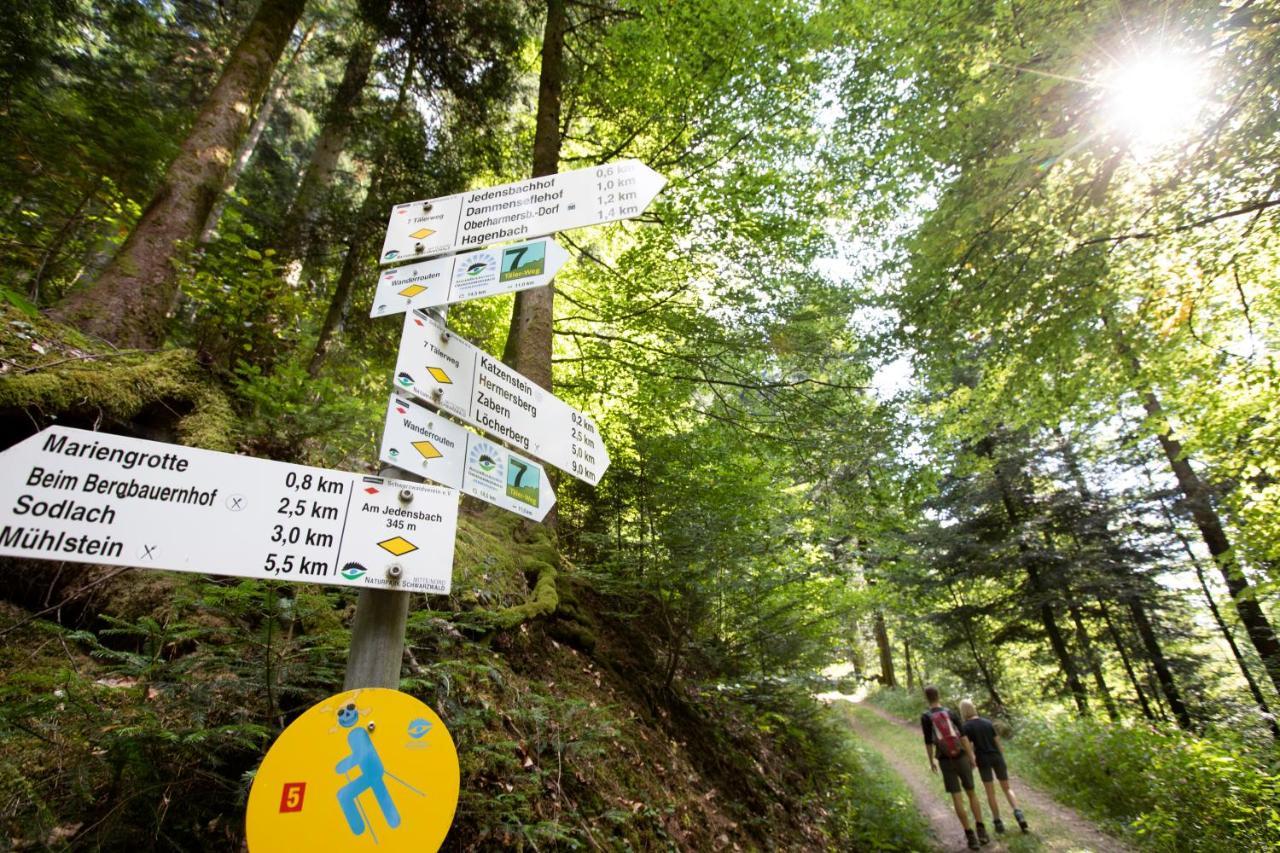 Ferienwohnung Mit Komfort Oberharmersbach Exteriér fotografie